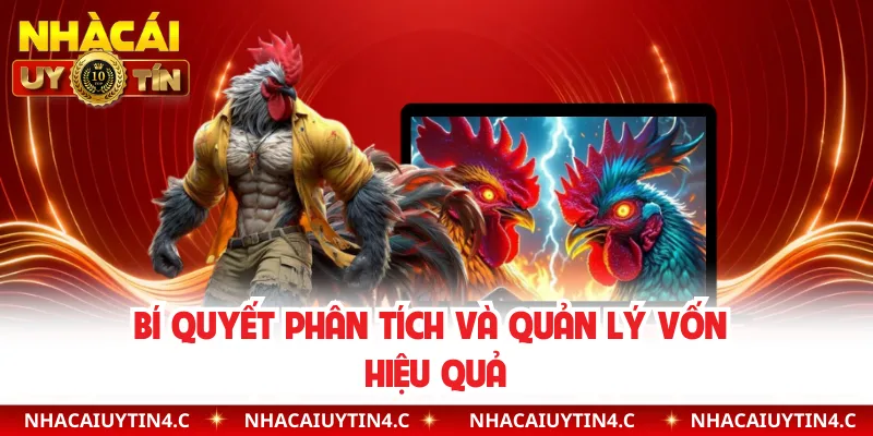 Bí quyết phân tích và quản lý vốn hiệu quả