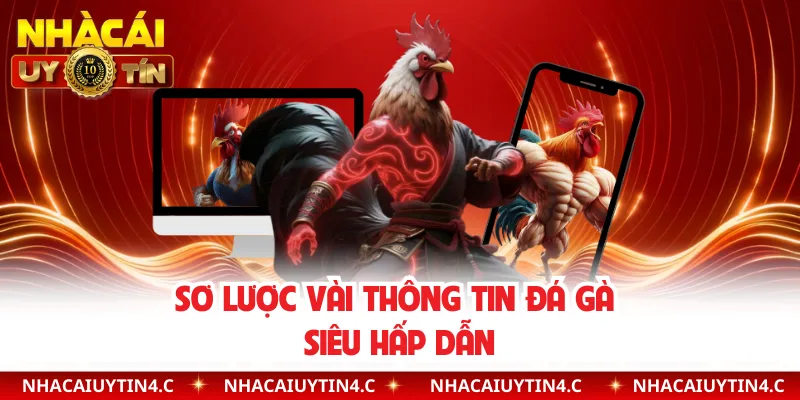 Sơ lược vài thông tin đá gà siêu hấp dẫn